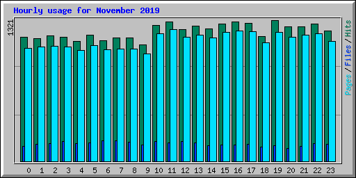 Hourly usage for November 2019