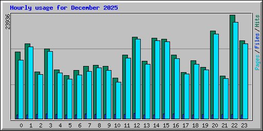 Hourly usage for December 2025