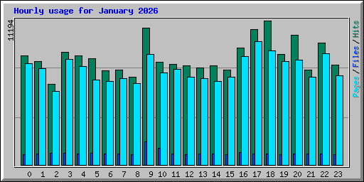 Hourly usage for January 2026